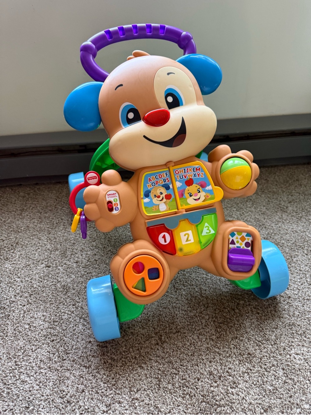 Fisher-Price Puppy Activity Walker - Blue, Purple, Red, Yellow, Green